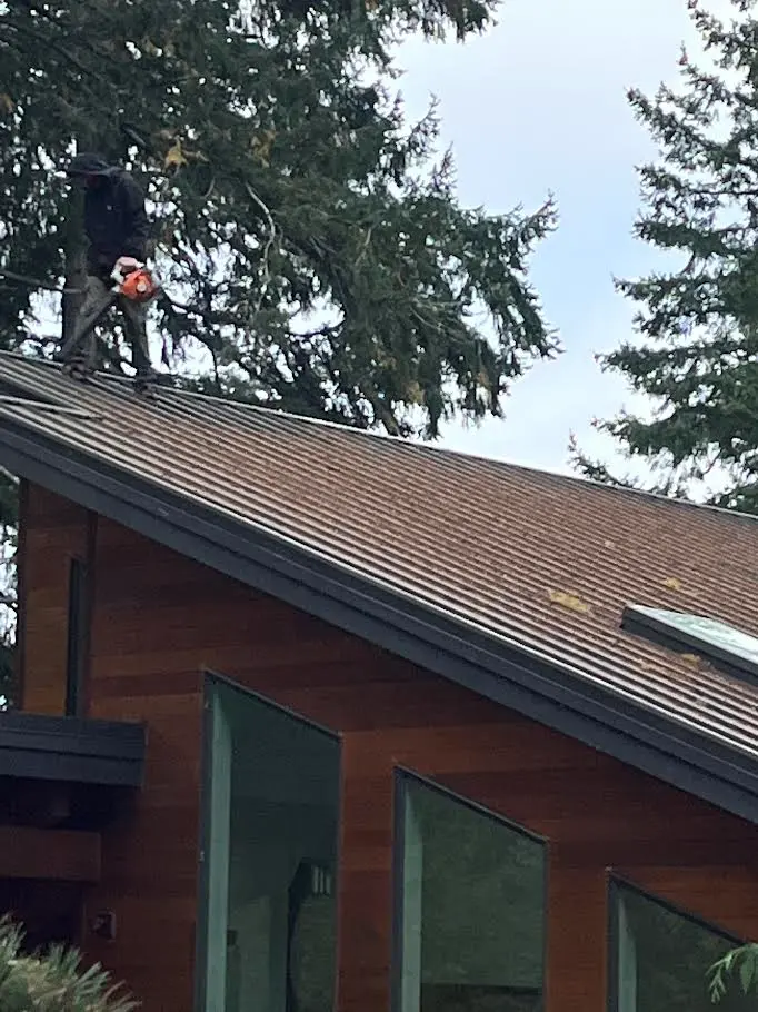 Roof cleaning service by Father & Son Window Cleaning employee on residential home in Gig Harbor, WA